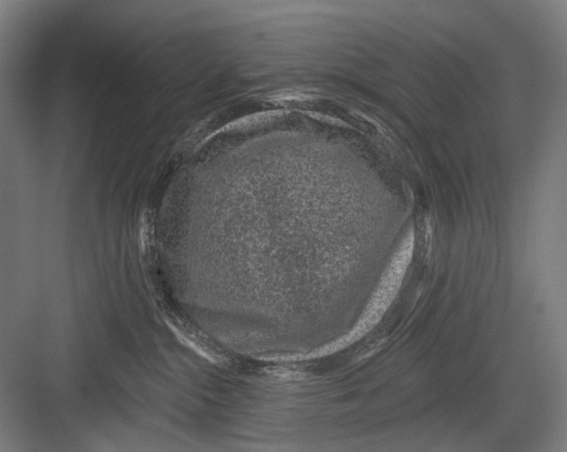 X0000081560284200702121404
