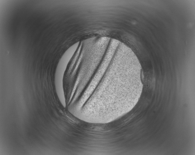 X0000081560285200702121404
