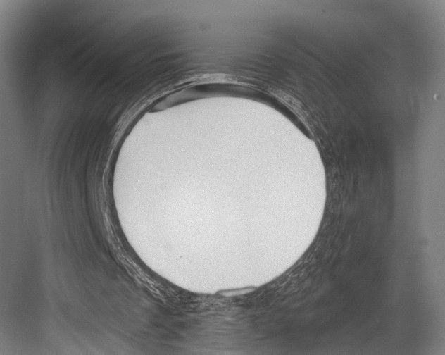 X0000081560289200702121403