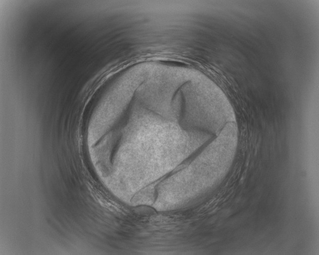 X0000081560290200702121403