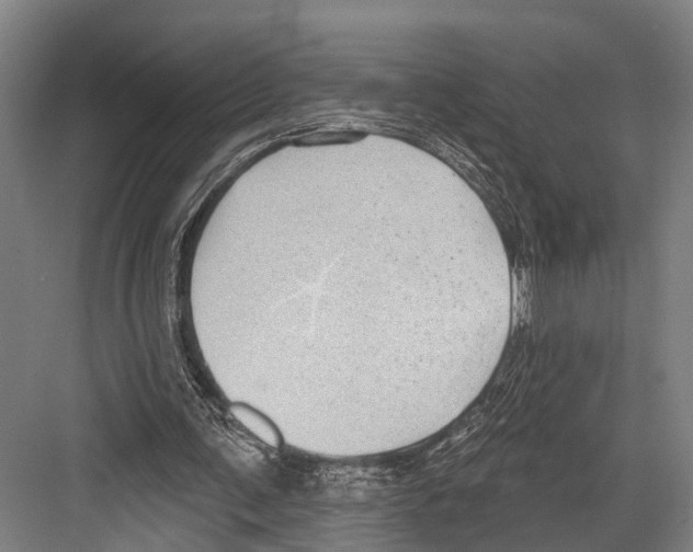 X0000081560291200702121403