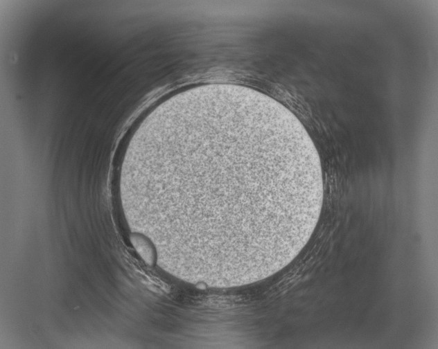 X0000081560292200702121403