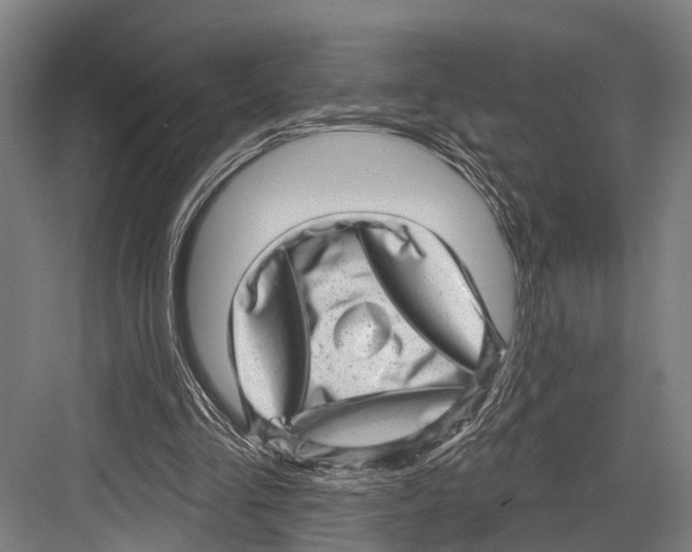 X0000081560293200702121403