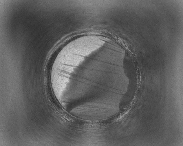 X0000081560295200702121403