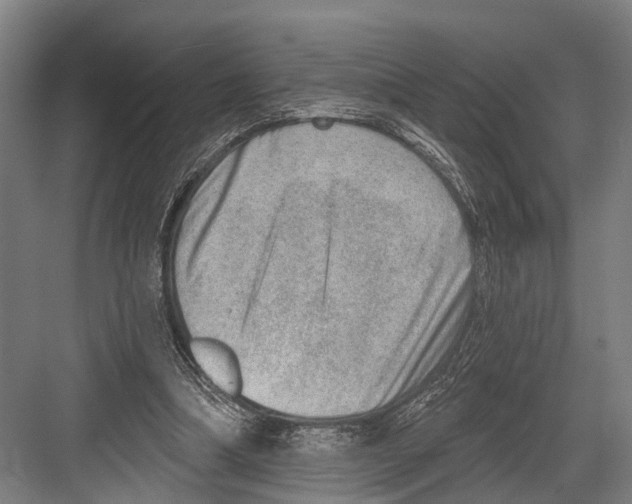 X0000081560298200702121403