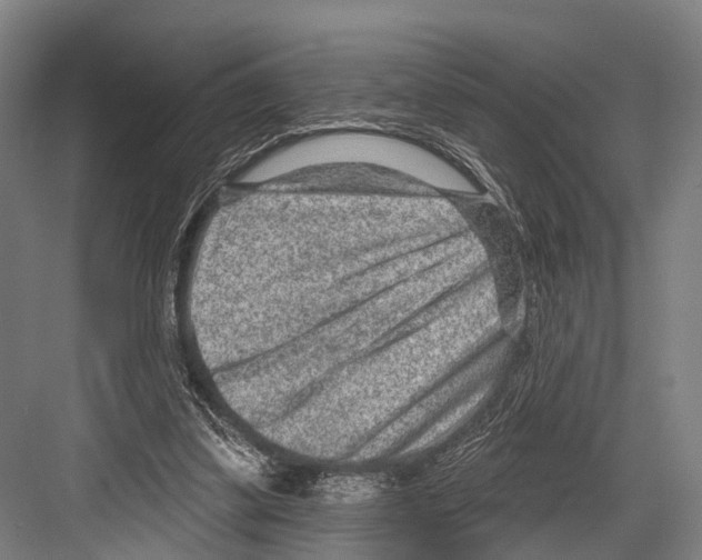 X0000081560299200702121403