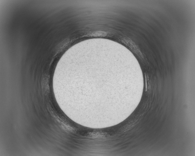 X0000081560300200702121403