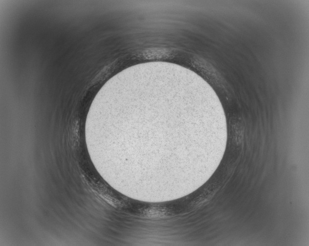 X0000081560308200702121403