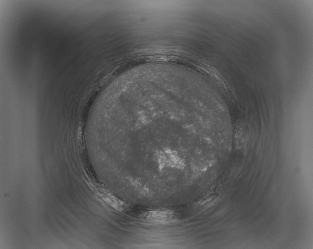 X0000081560314200702121402