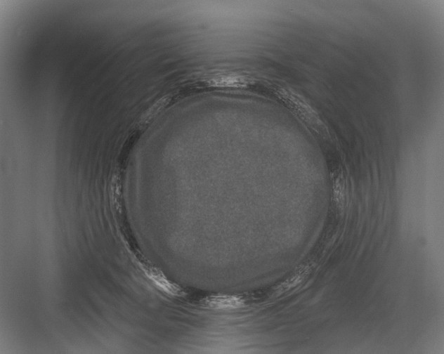 X0000081560322200702121402