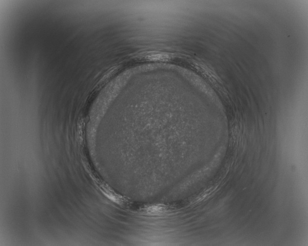 X0000081560325200702121402