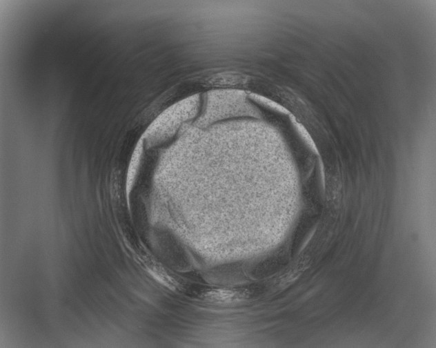 X0000081560326200702121402