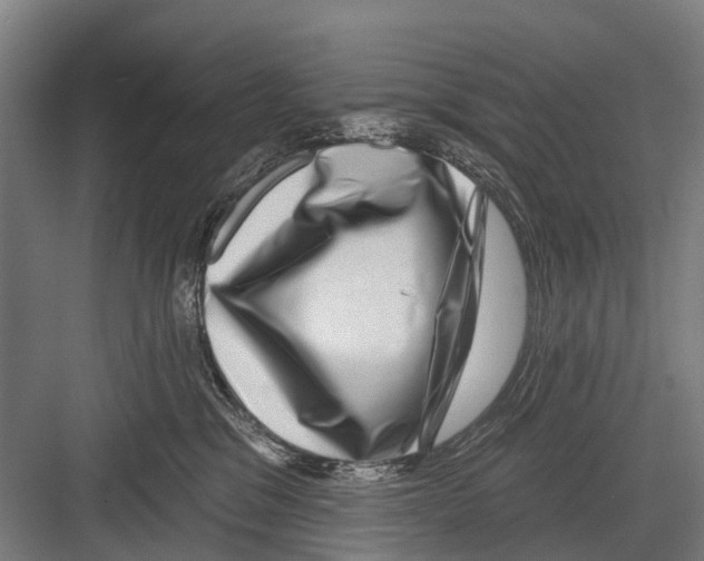 X0000081560329200702121402