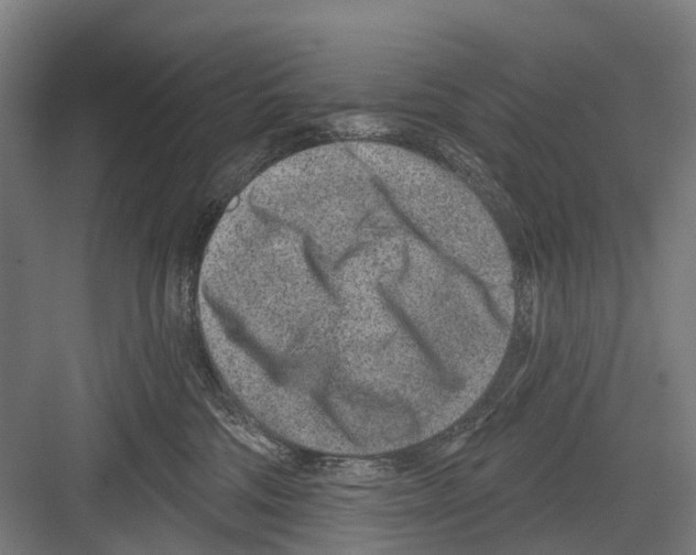 X0000081560330200702121402