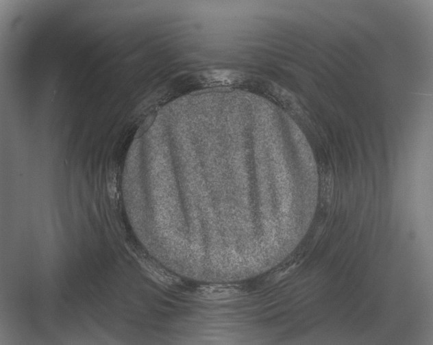 X0000081560331200702121402