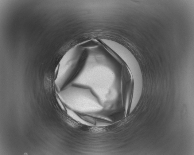 X0000081560333200702121402