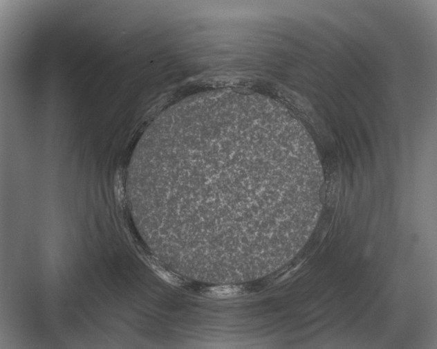 X0000081560335200702121402