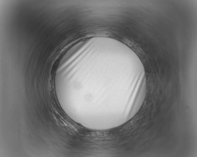 X0000081560338200702121401