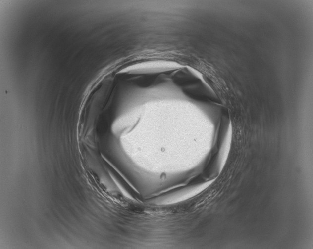 X0000081560340200702121401