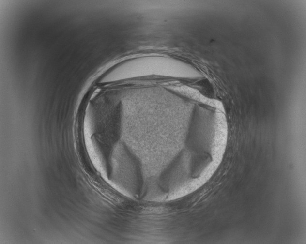 X0000081560342200702121401