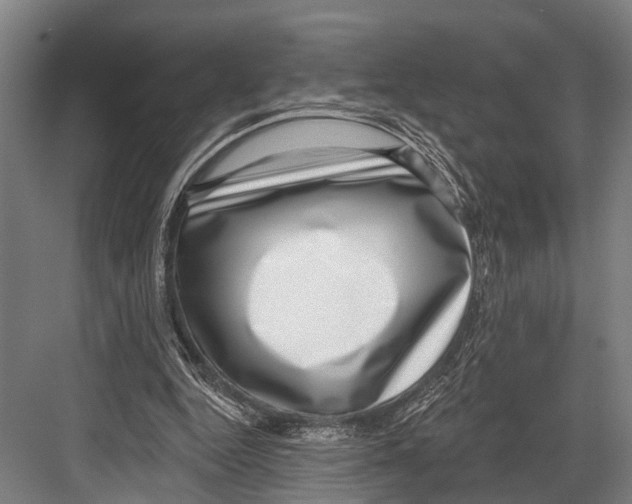 X0000081560344200702121401