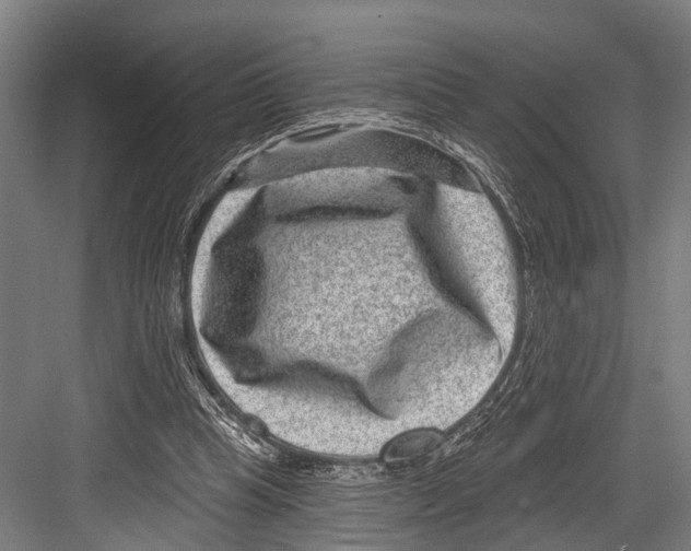 X0000081560345200702121401