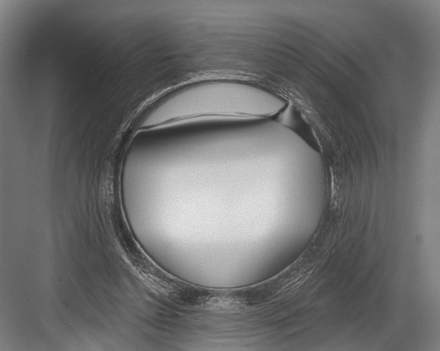 X0000081560348200702121401