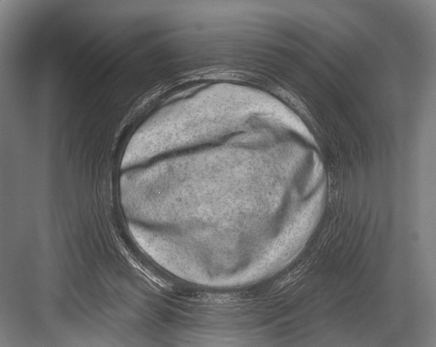 X0000081560349200702121401