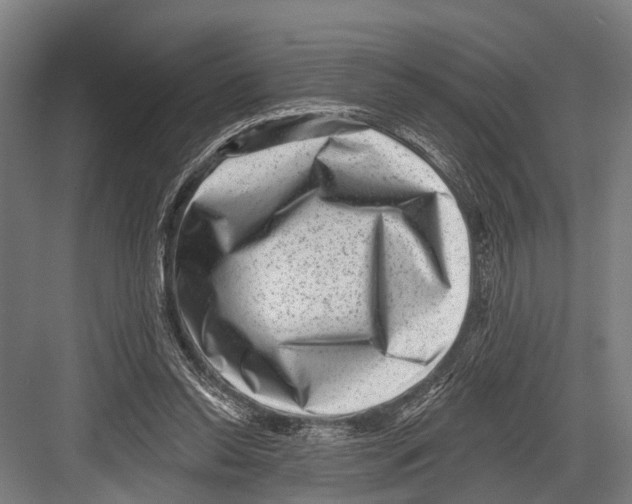 X0000081560350200702121401