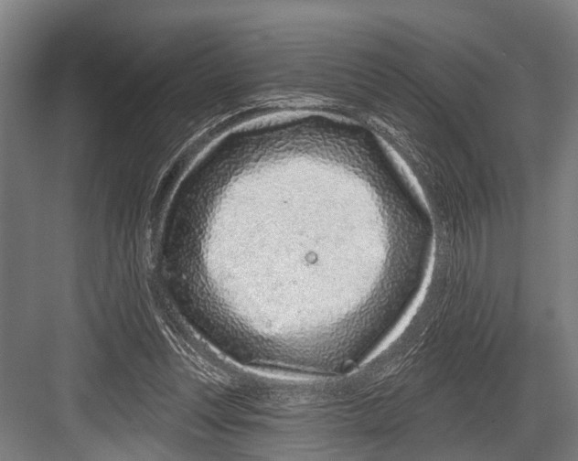 X0000081560351200702121401