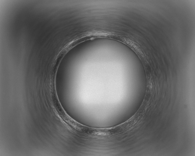 X0000081560352200702121401