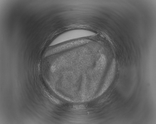 X0000081560357200702121401