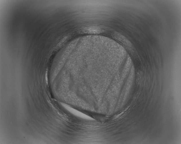 X0000081560358200702121401