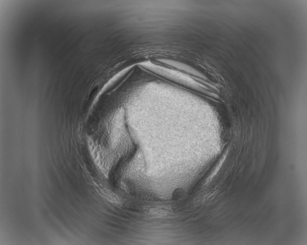 X0000081560359200702121401