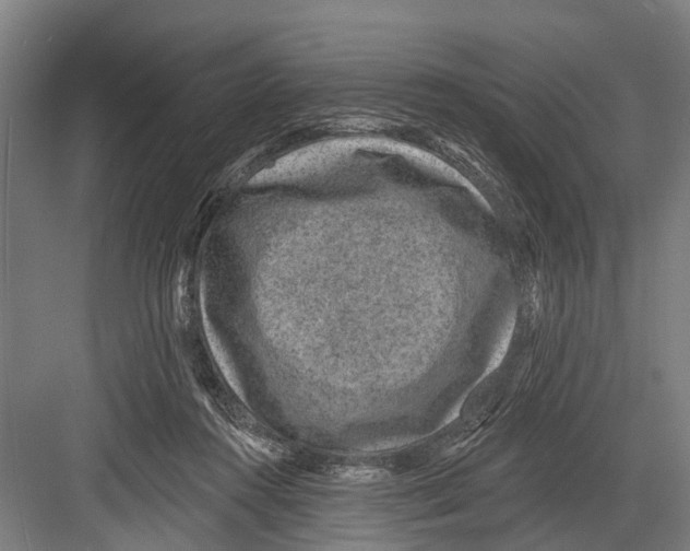 X0000081560360200702121401