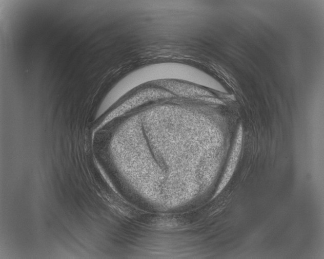 X0000081560361200702121402