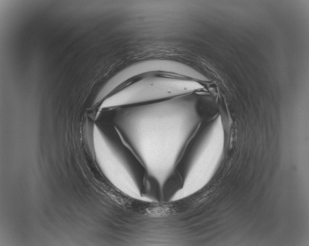 X0000081560362200702121402