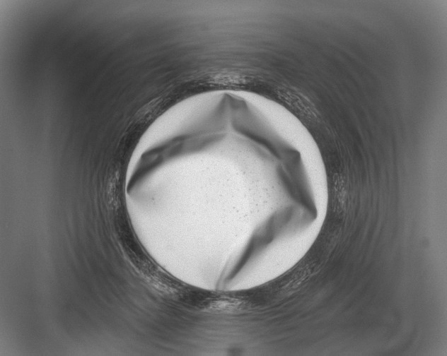 X0000081560364200702121402