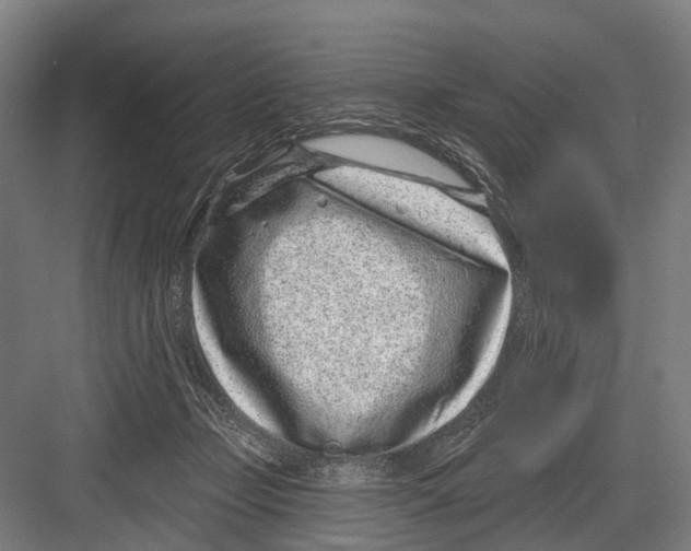 X0000081560365200702121402