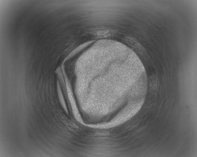 X0000081560369200702121402