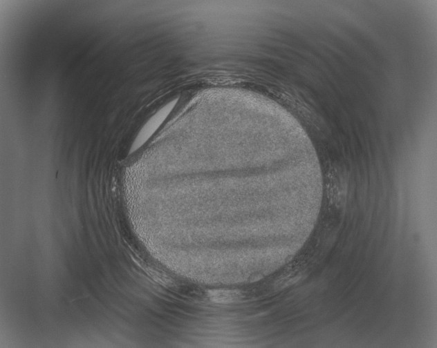 X0000081560371200702121402