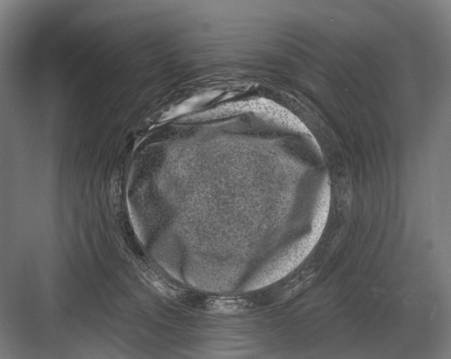 X0000081560372200702121402