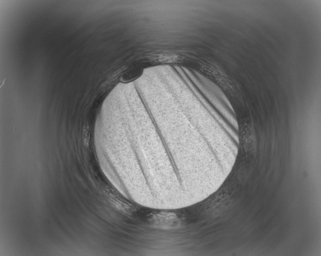 X0000081560374200702121402