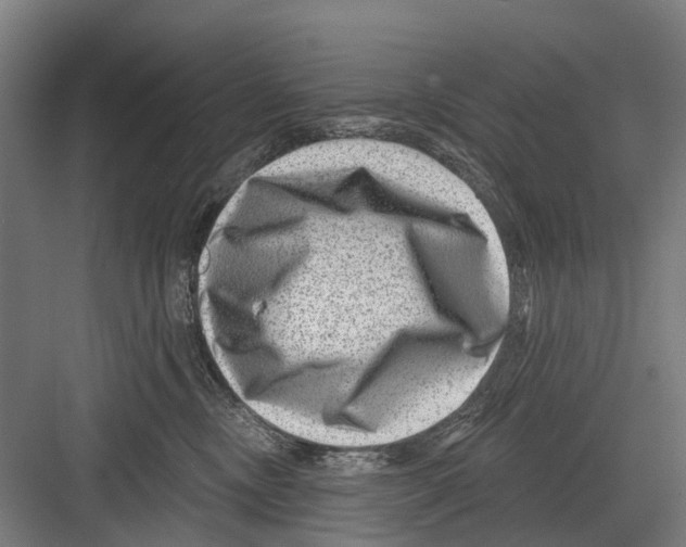 X0000081560378200702121402