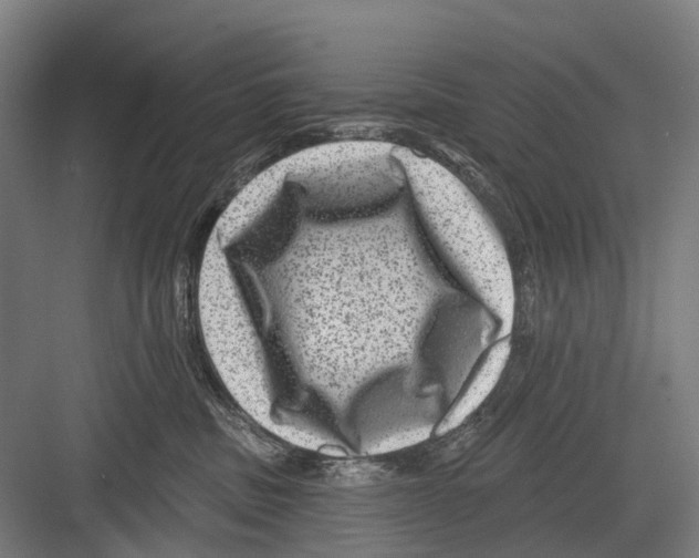 X0000081560379200702121402