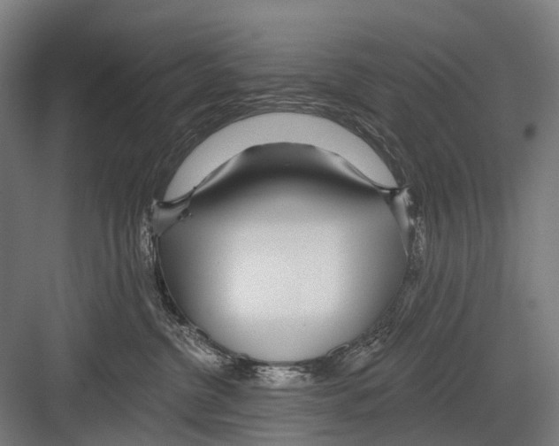 X0000081560380200702121402
