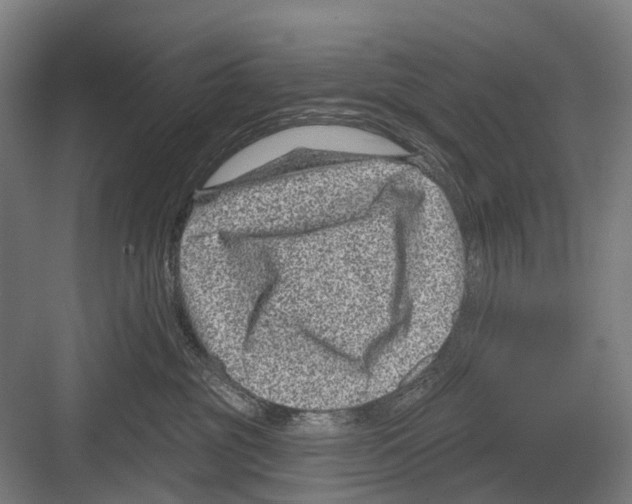 X0000081560381200702121402