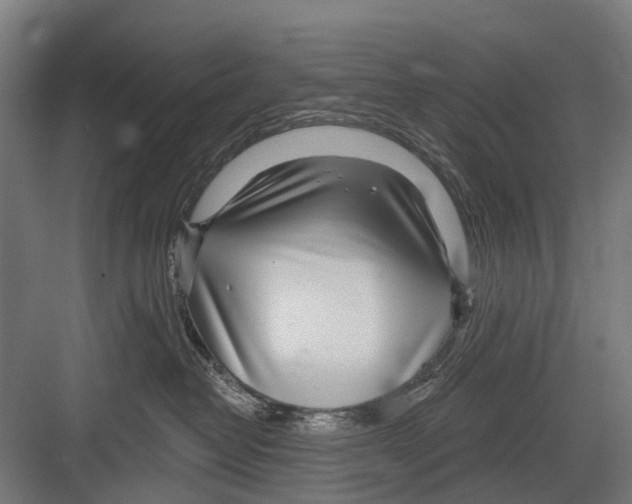 X0000081560382200702121402