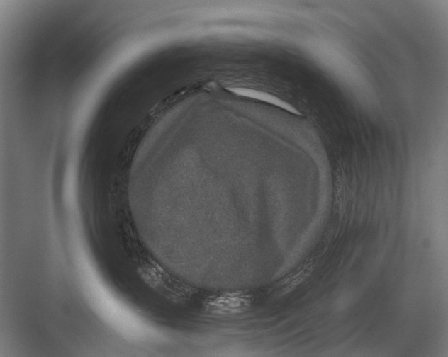 X0000081560383200702121402