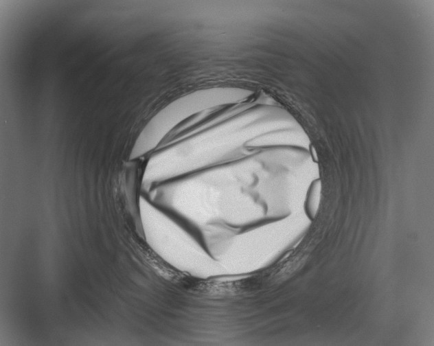 X0000081560384200702121402